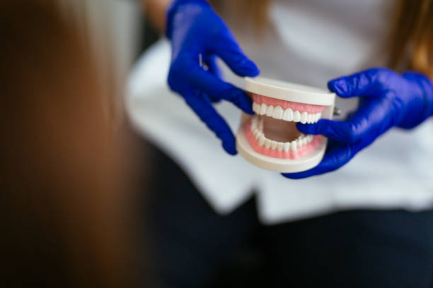 Professional  Holistic Dental Services in Willows, CA